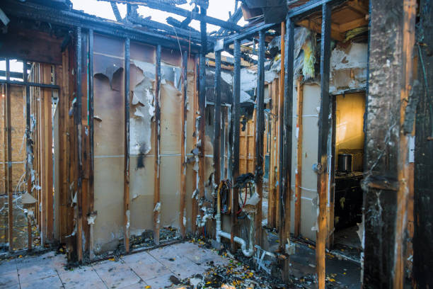 Professional Smoke Damage Removal technician working in Utica, SC